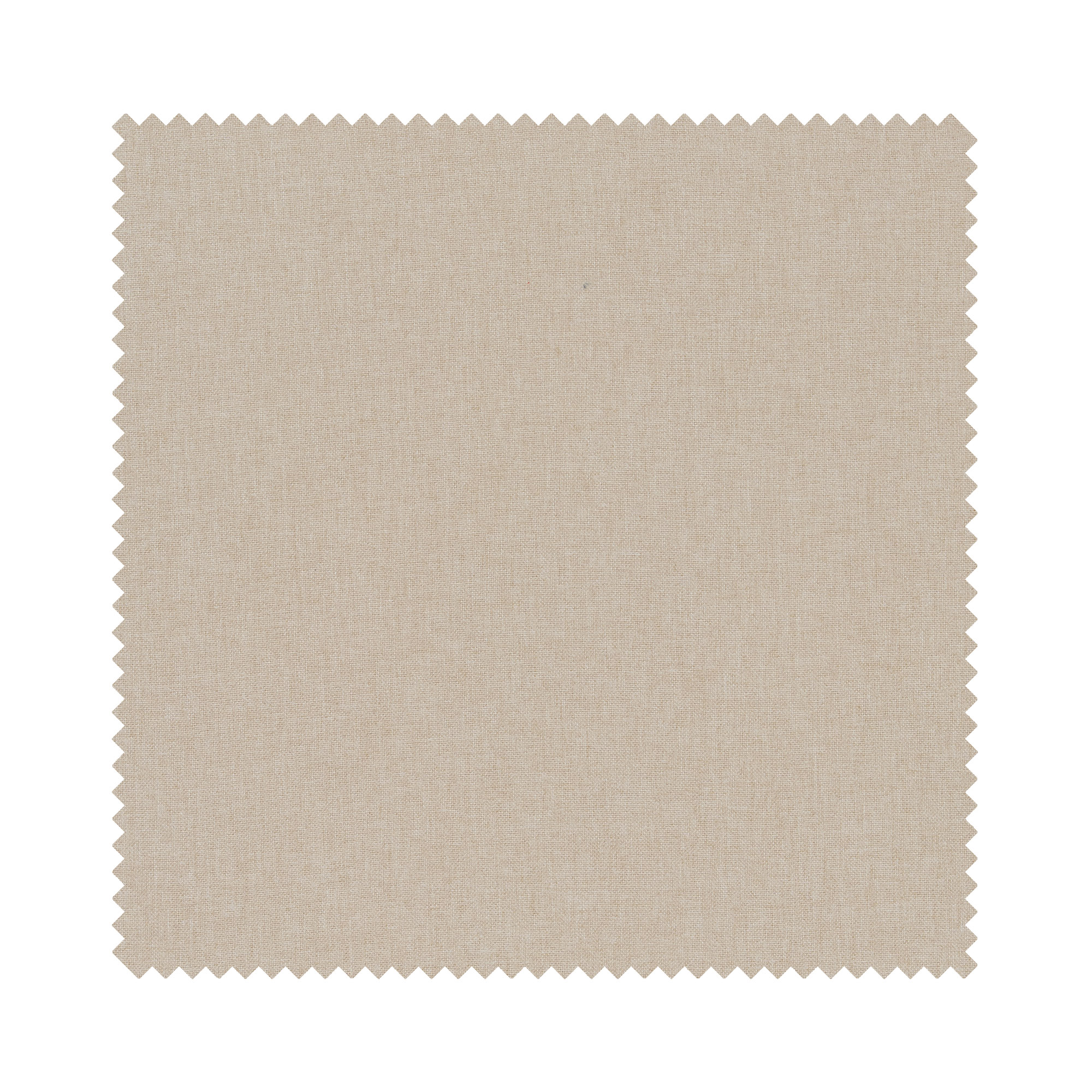 Niro Oyster Motorised - Image 6