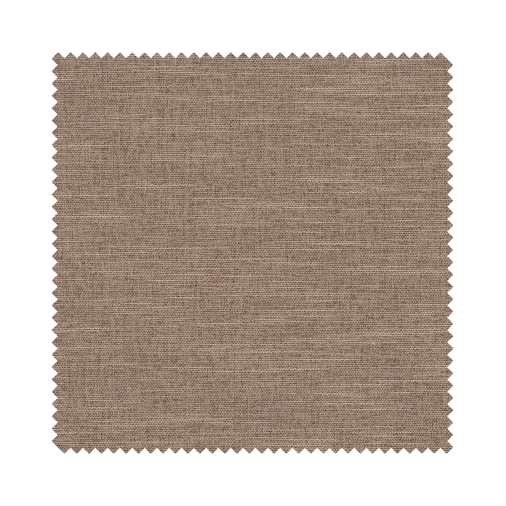 Roux Oatmeal Motorised - Image 6