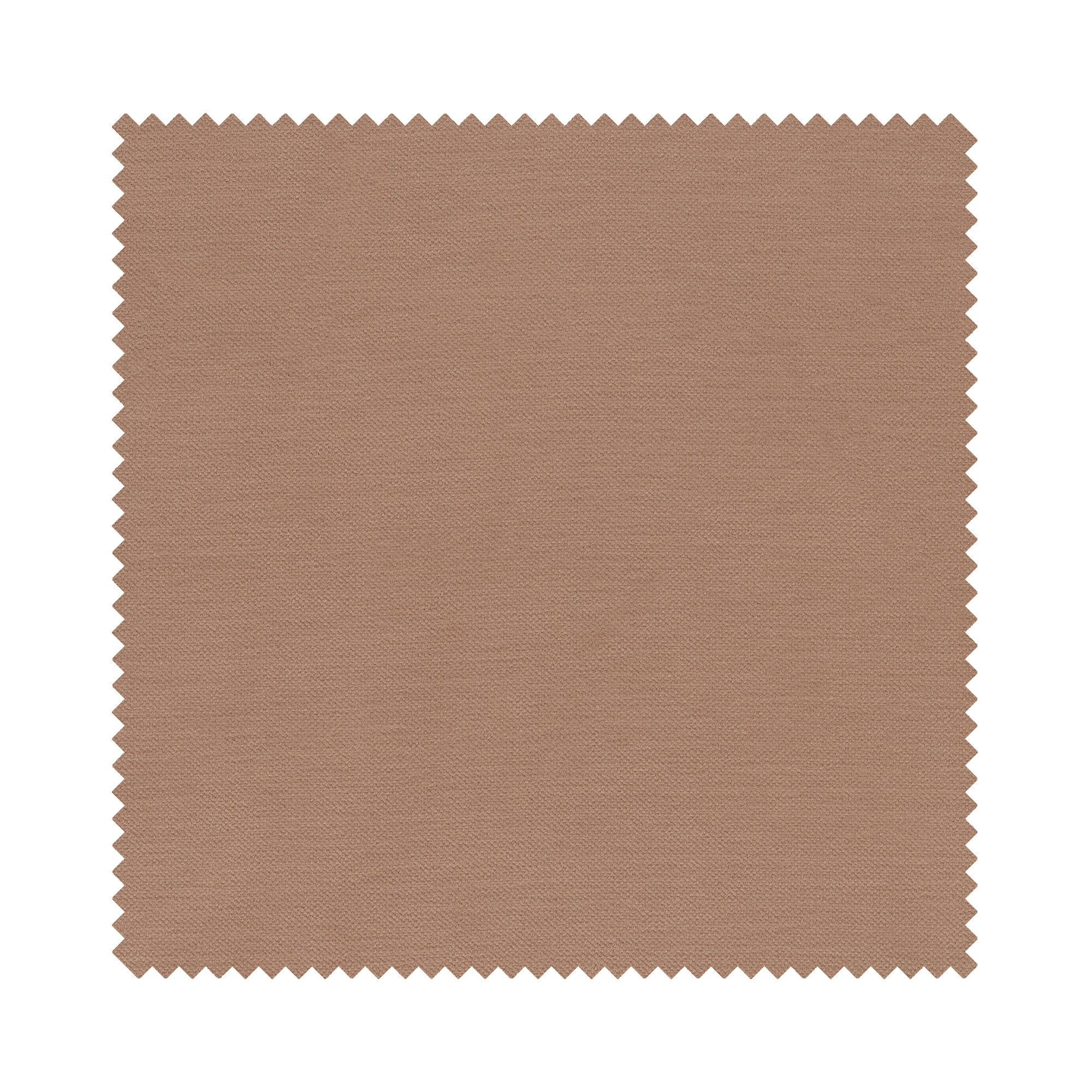 Zane Latte Motorised - Image 6