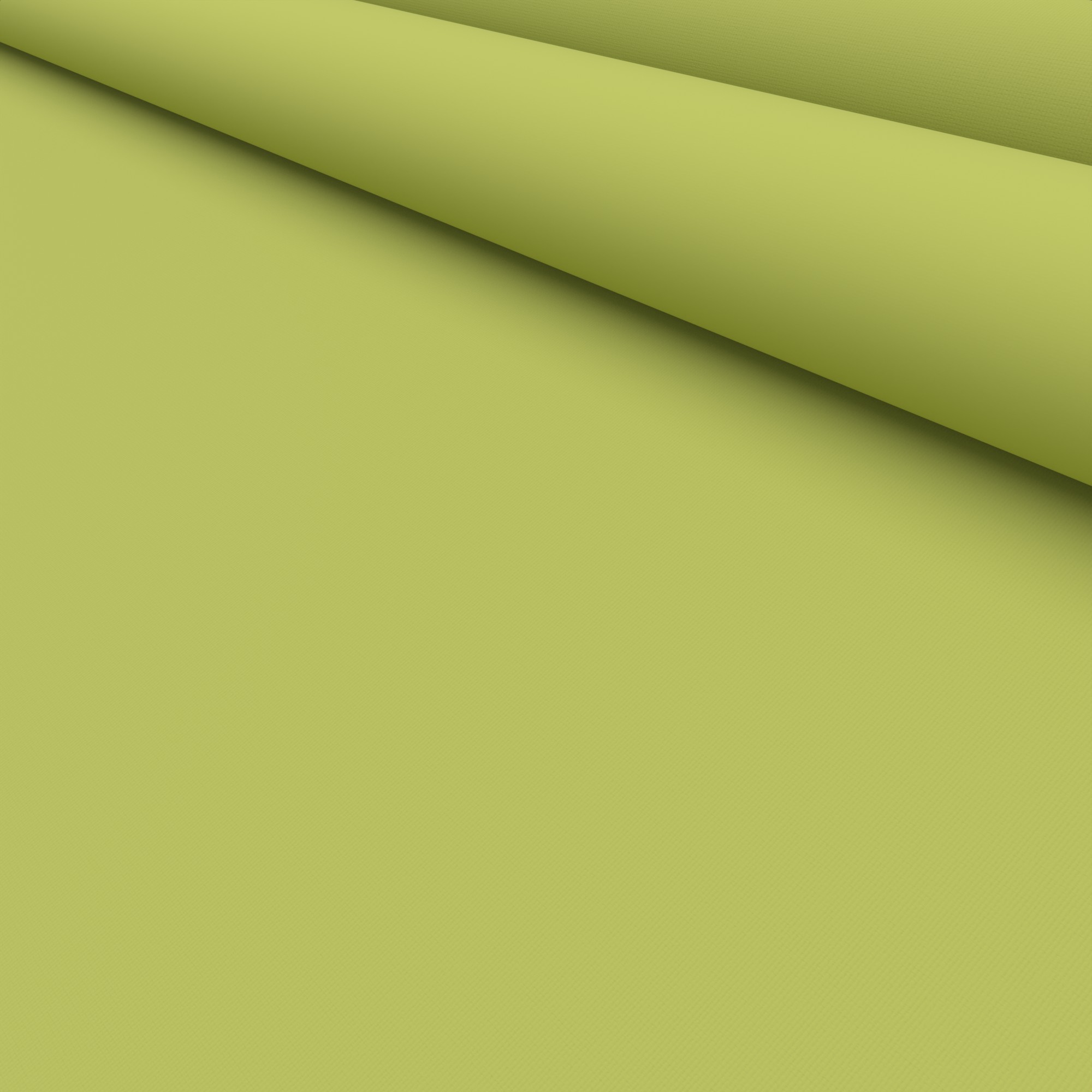 Dover Willow Leaf Motorised Roller Blind - Image 5