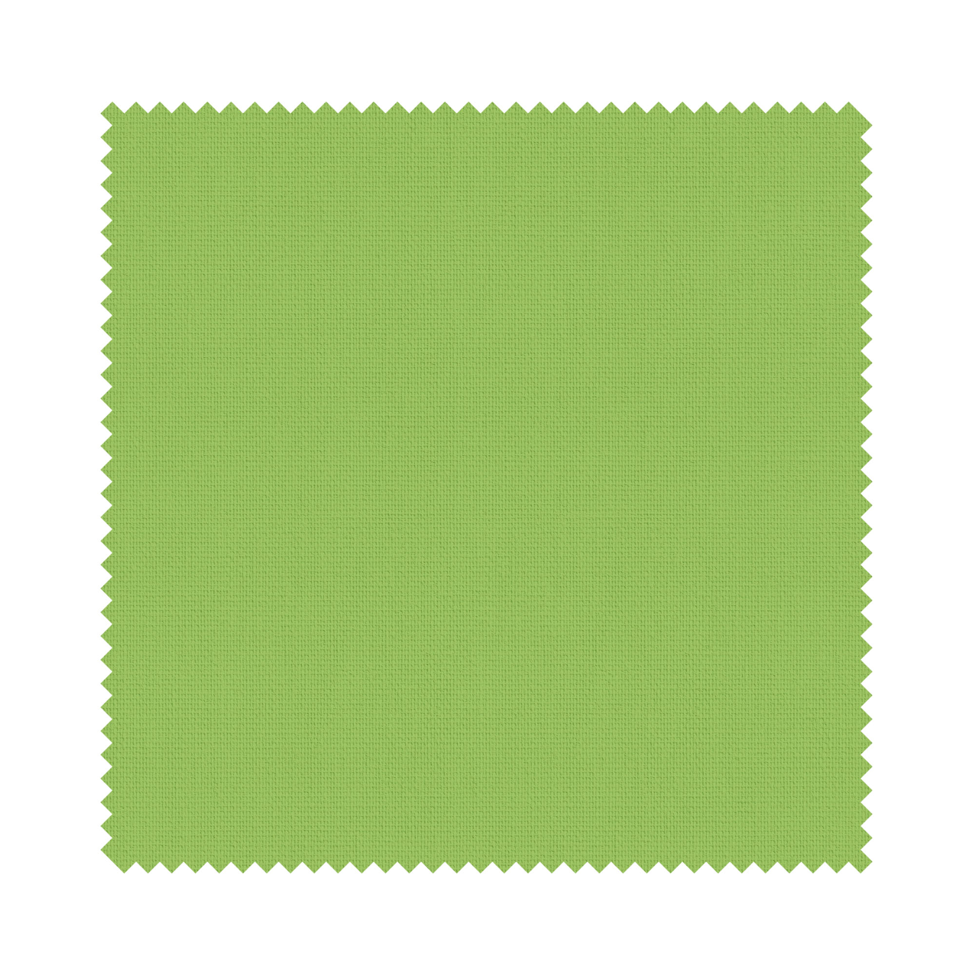 Easton Fresh Kiwi Motorised Roller Blind - Image 6
